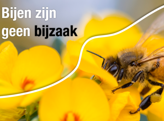 Week van de bij van zondag 31 mei tot zondag 7 juni 2020